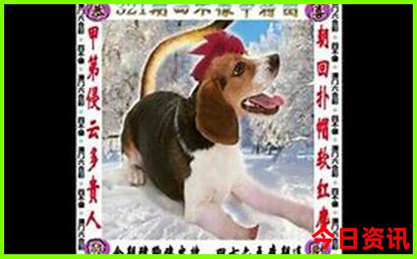半天北京适合去哪里玩